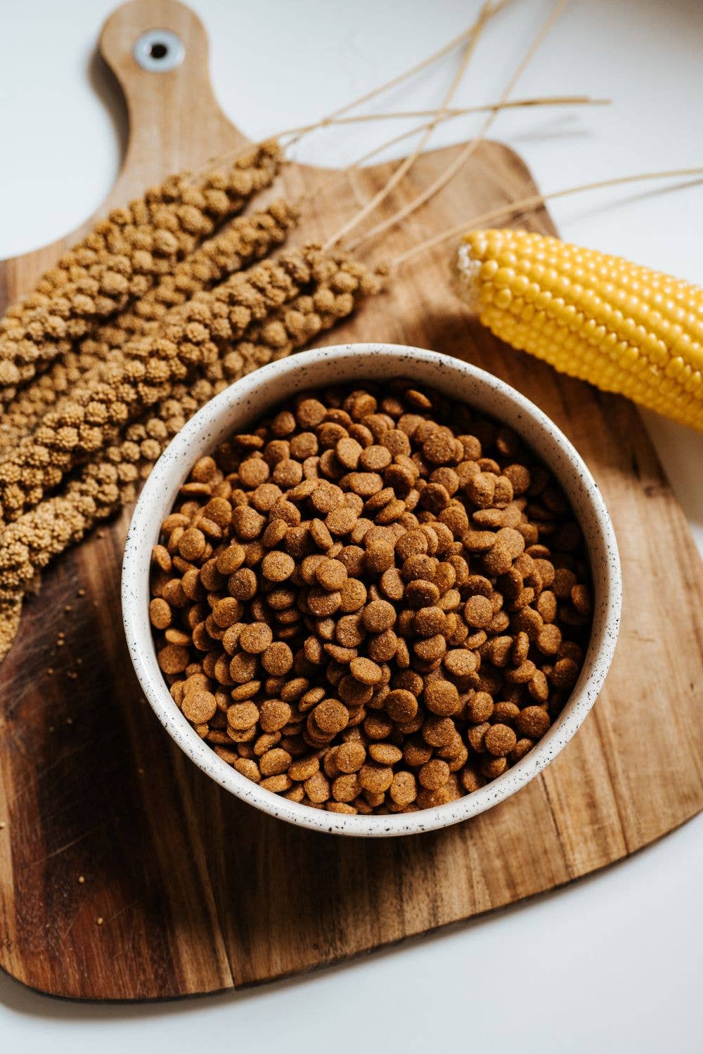 SIMPLY CRUNCH Trockenfutter