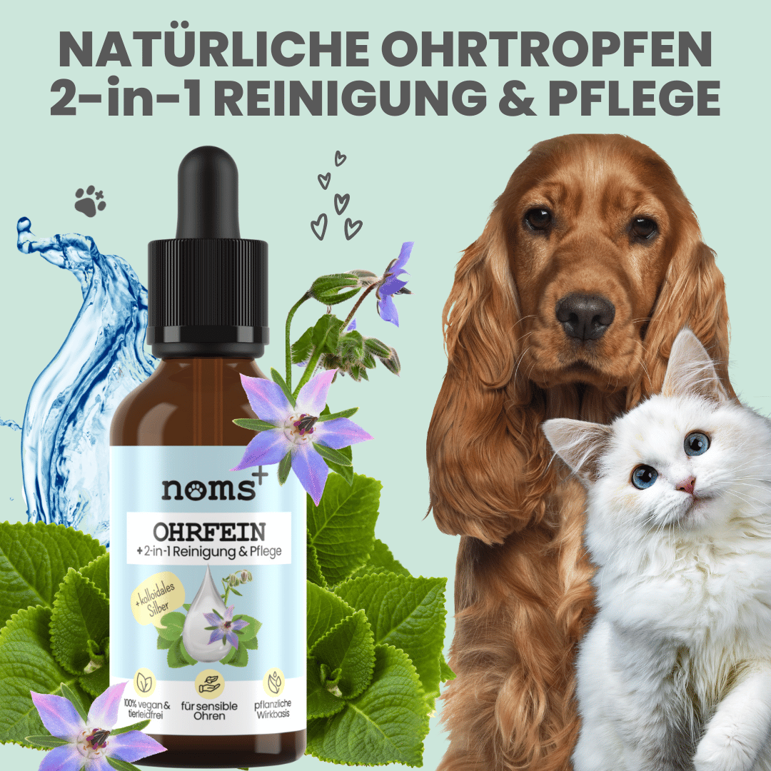2-in-1 Ohrfein Reinigung & Pflege für Hunde & Katzen