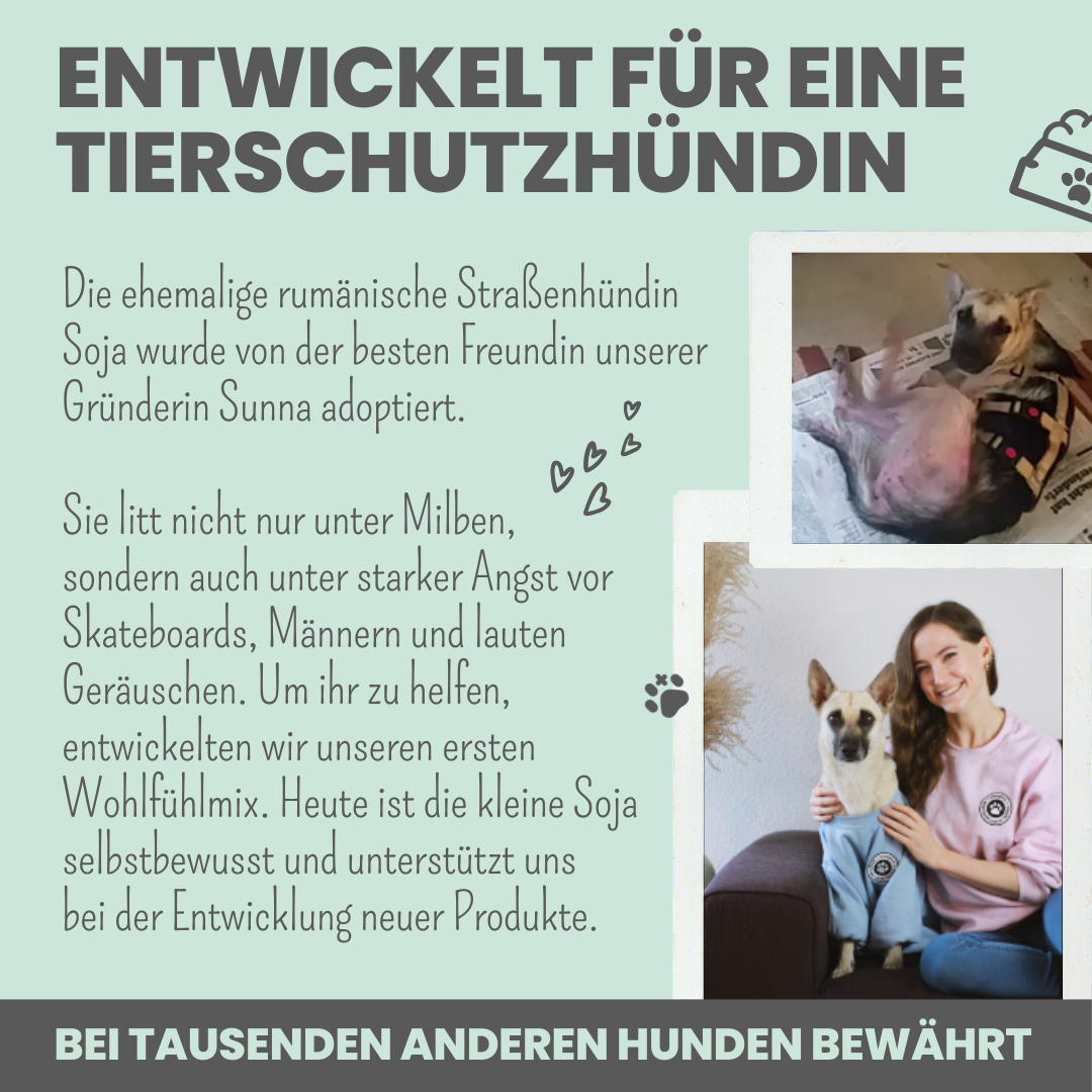 Wohlfühlmix für Hunde bei Stress, Angst & Unruhe