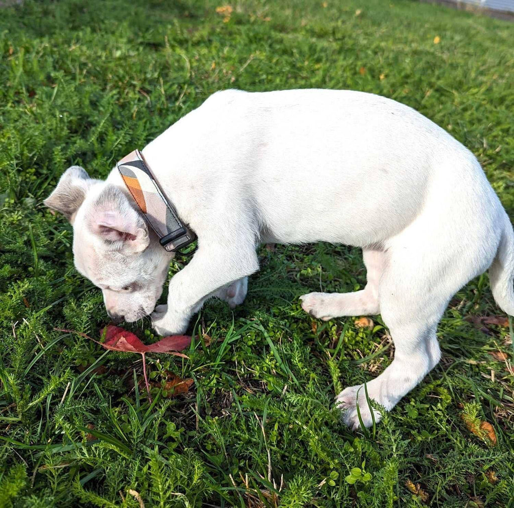 Stoffhalsband für Hund „Nature”