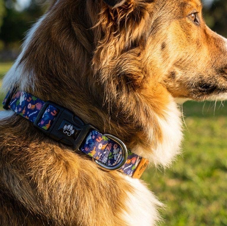 Hundehalsband Deep Agua