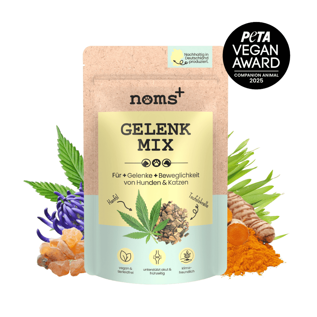 Gelenkmix für Hunde mit Teufelskralle, Kurkuma & Glucosamin