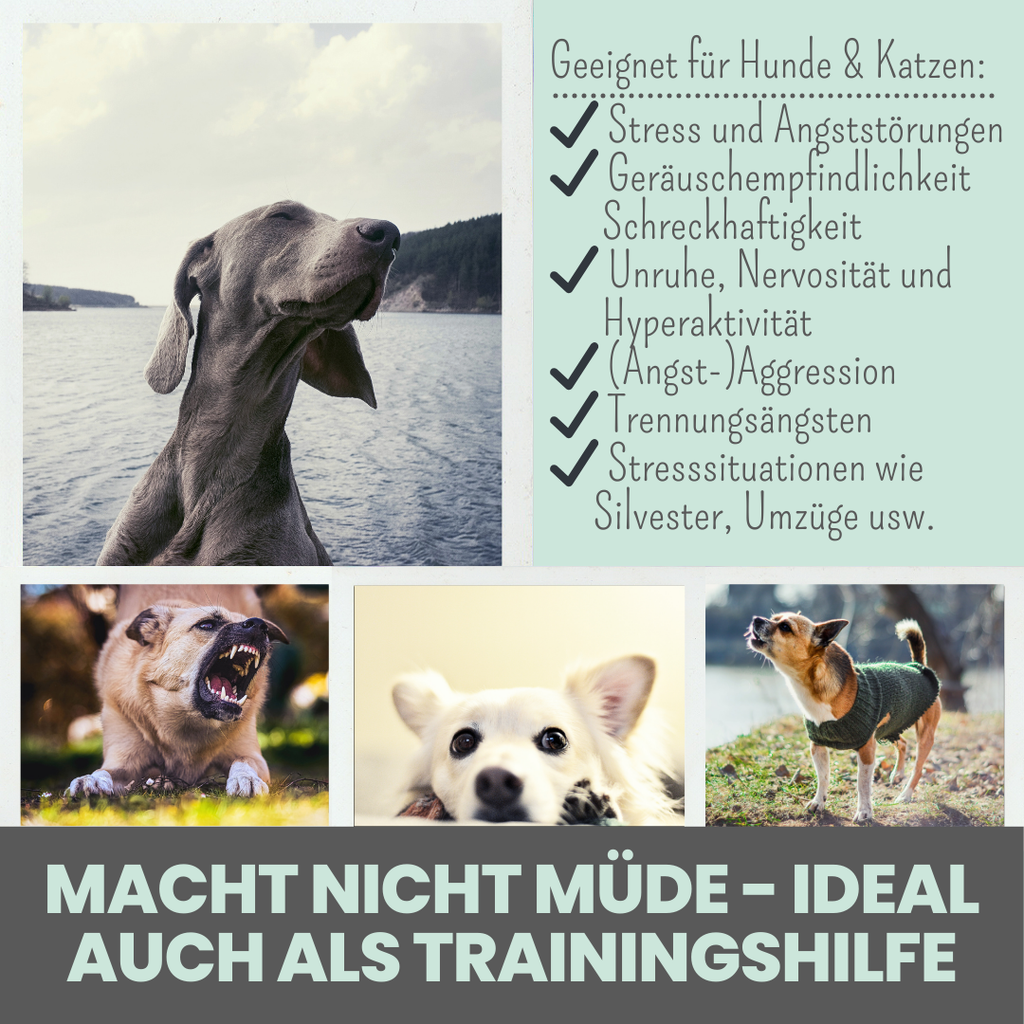 Wohlfühlmix für Hunde bei Stress, Angst & Unruhe