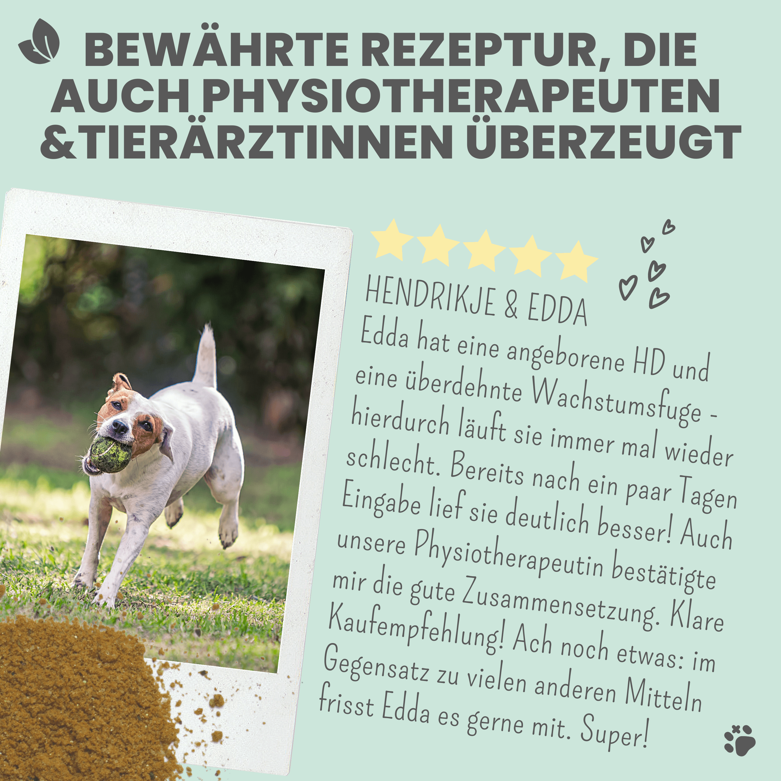Gelenkmix für Hunde mit Teufelskralle, Kurkuma & Glucosamin
