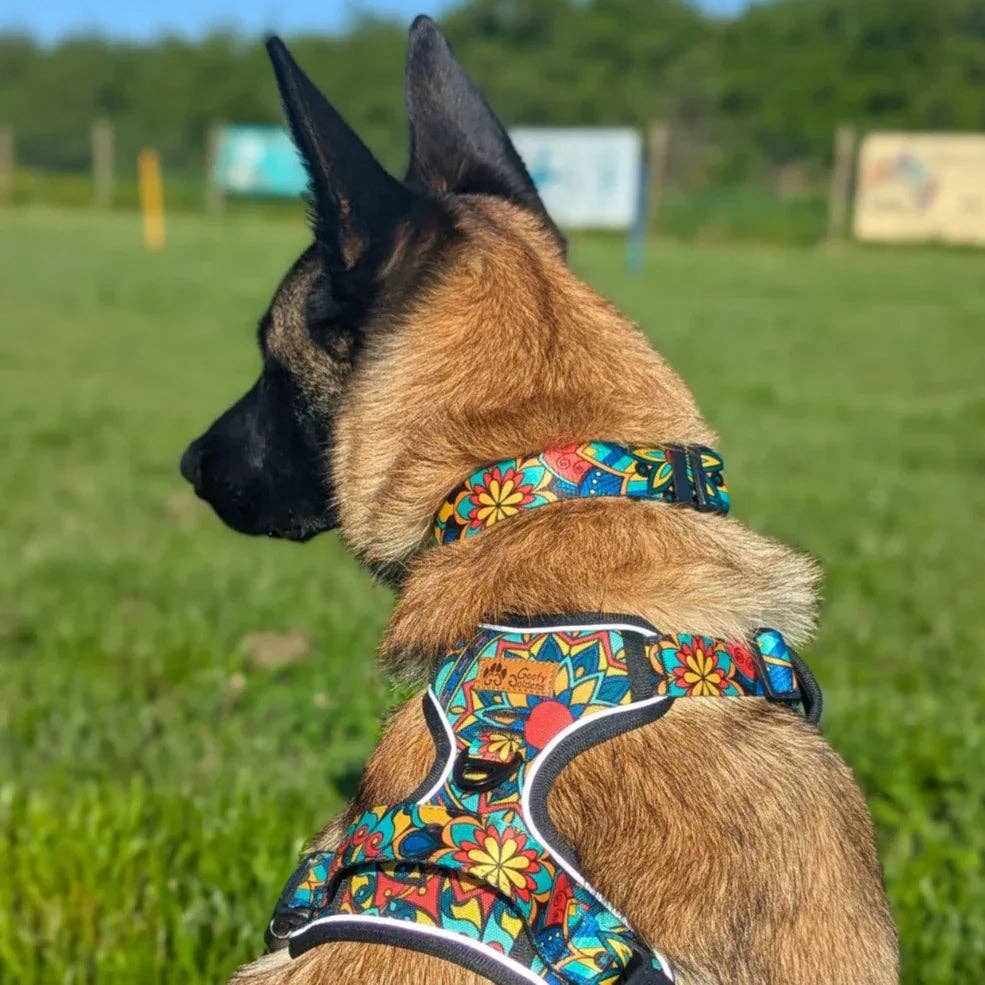 Mandala Y‑Form Komfort-Hundegeschirr
