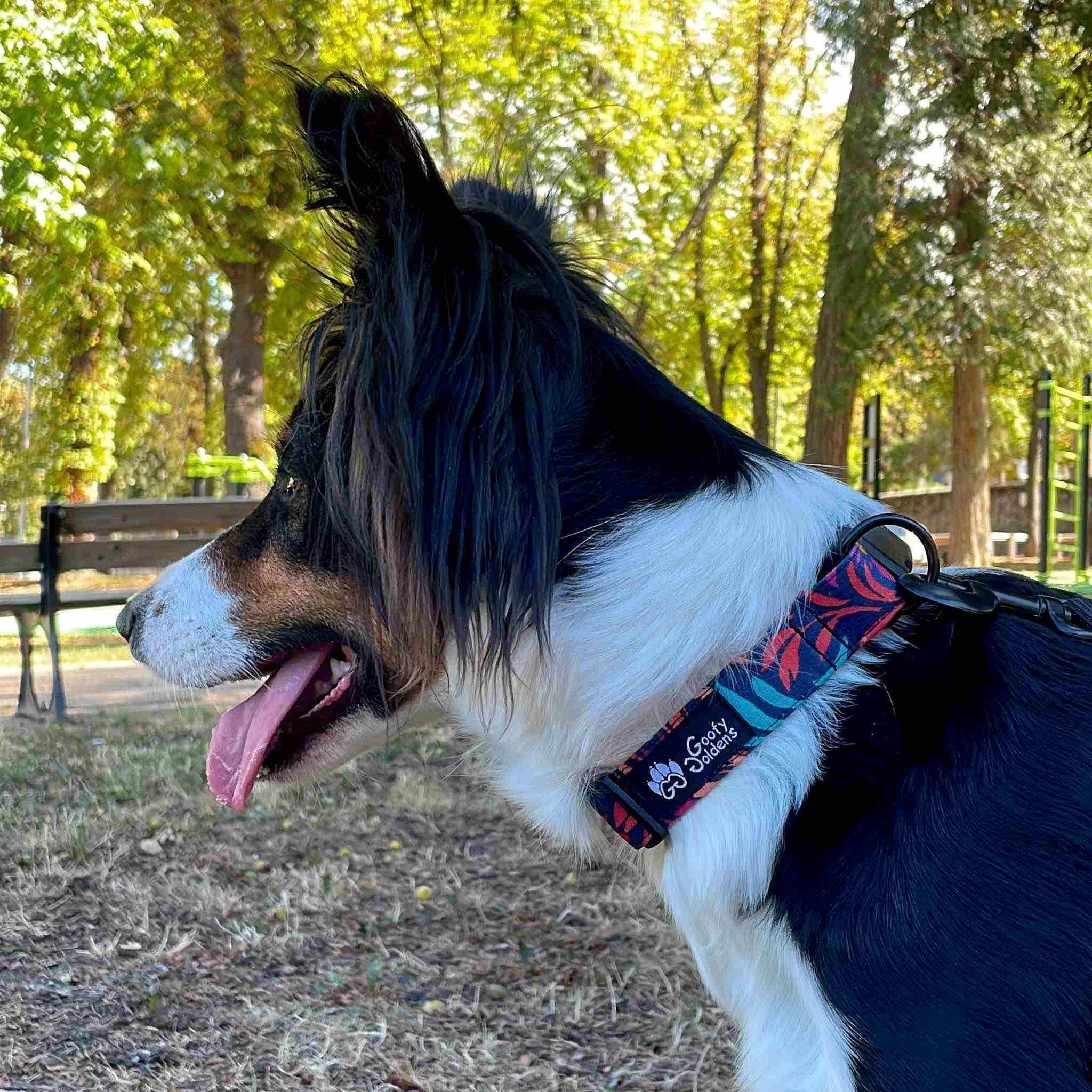 Stoffhalsband für Hunde – bezaubernd