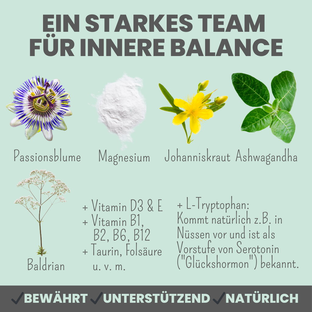 Wohlfühlmix für Hunde bei Stress, Angst & Unruhe