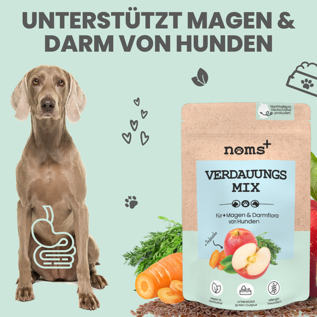 Verdauungsmix für Hunde als Präbiotikum für Magen- & Darmflo
