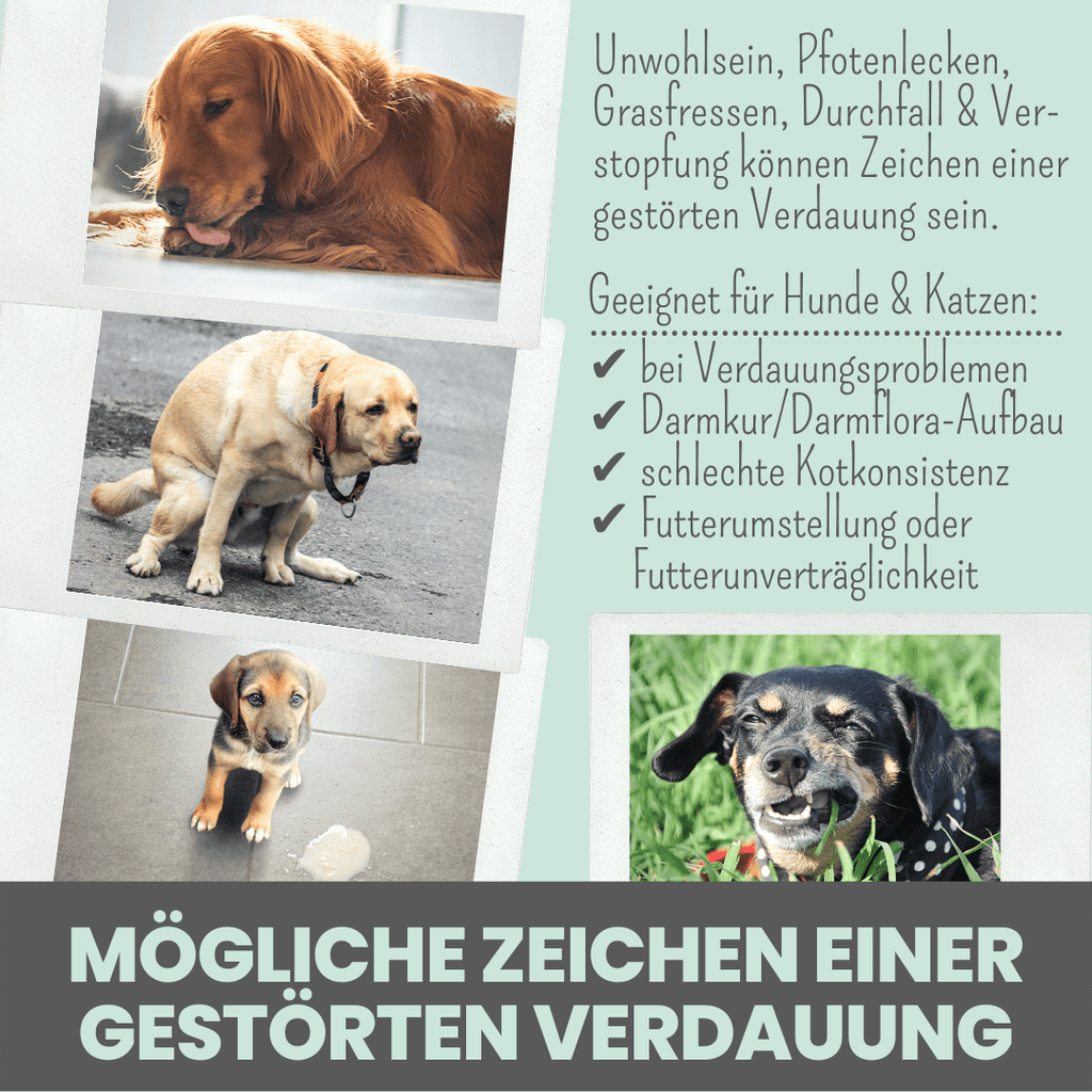 Verdauungsmix für Hunde als Präbiotikum für Magen- & Darmflo