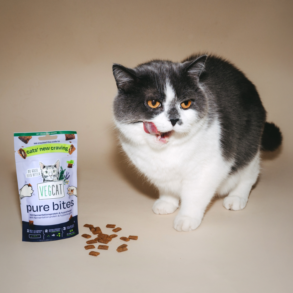 VEGCAT PURE BITES 60 g