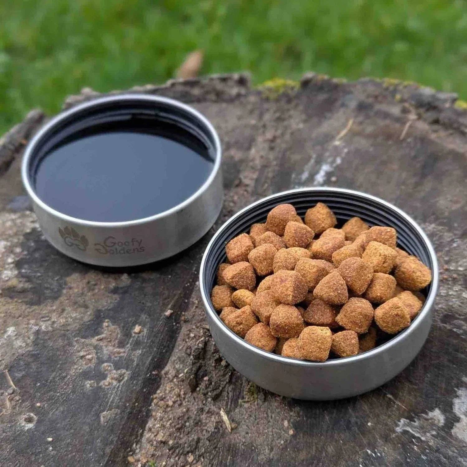 3-in-1-Trinkflasche für Hunde Récif