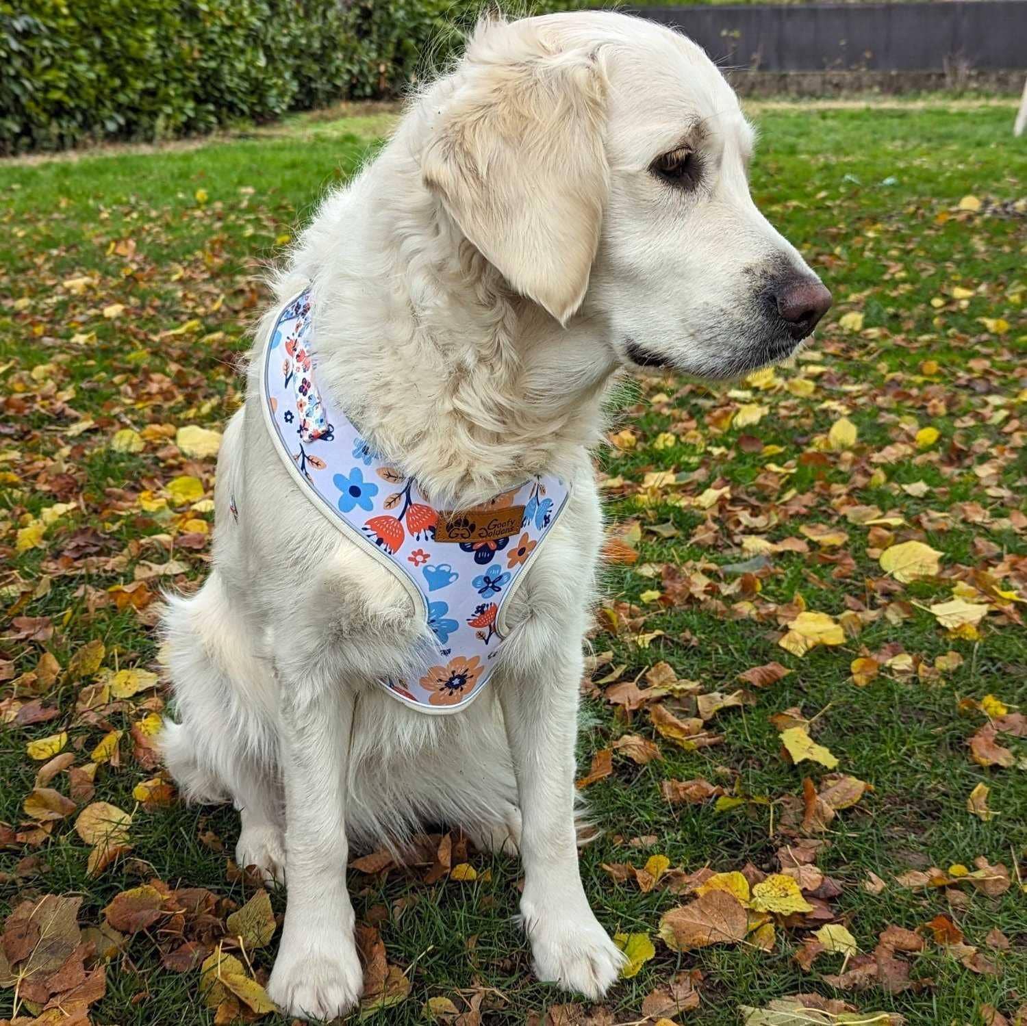 Frühlings-Hundegeschirr