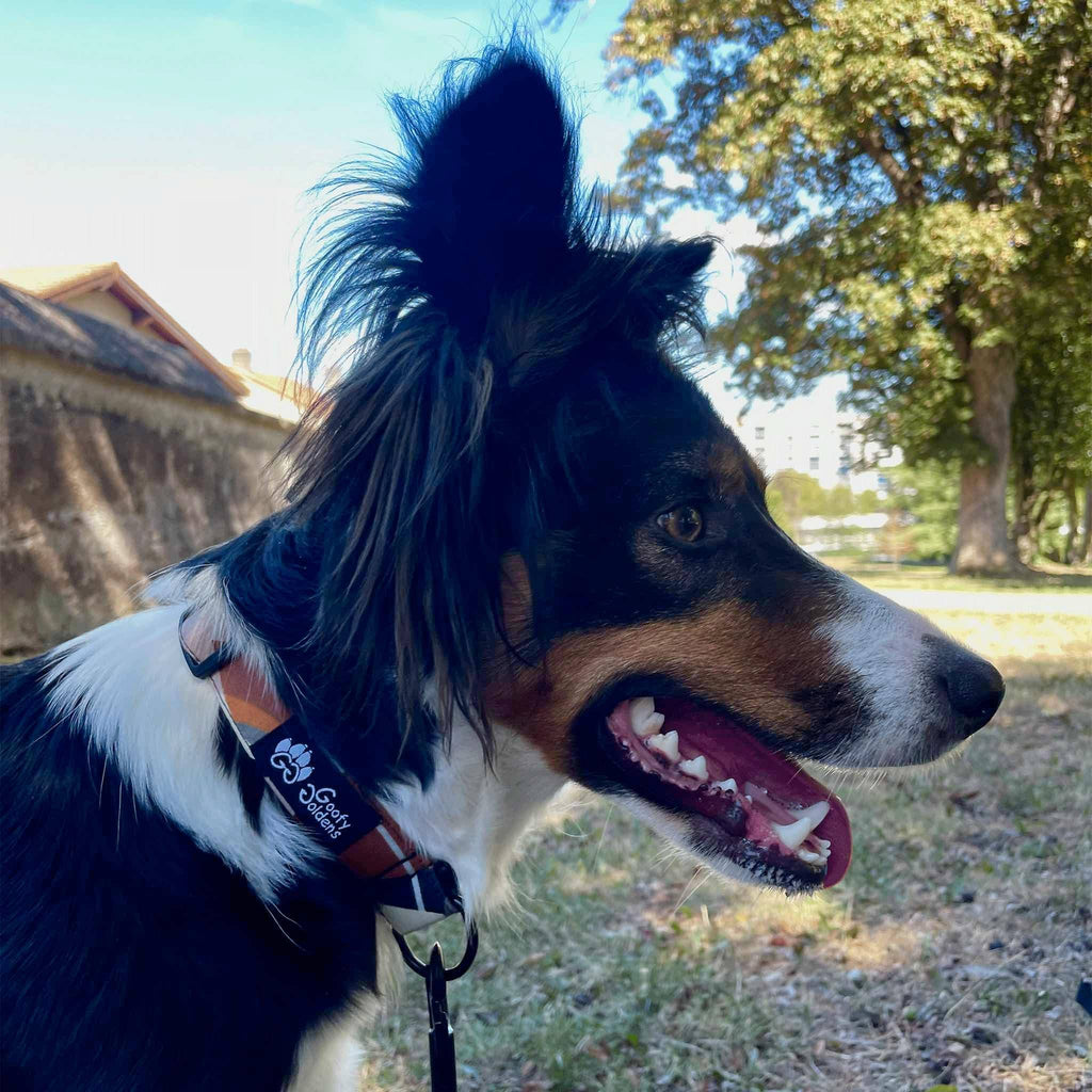 Stoffhalsband für Hund „Nature”