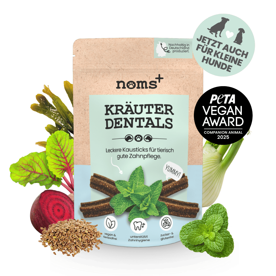 Kräuter Dentals für Hunde zur Zahn- und Darmpflege