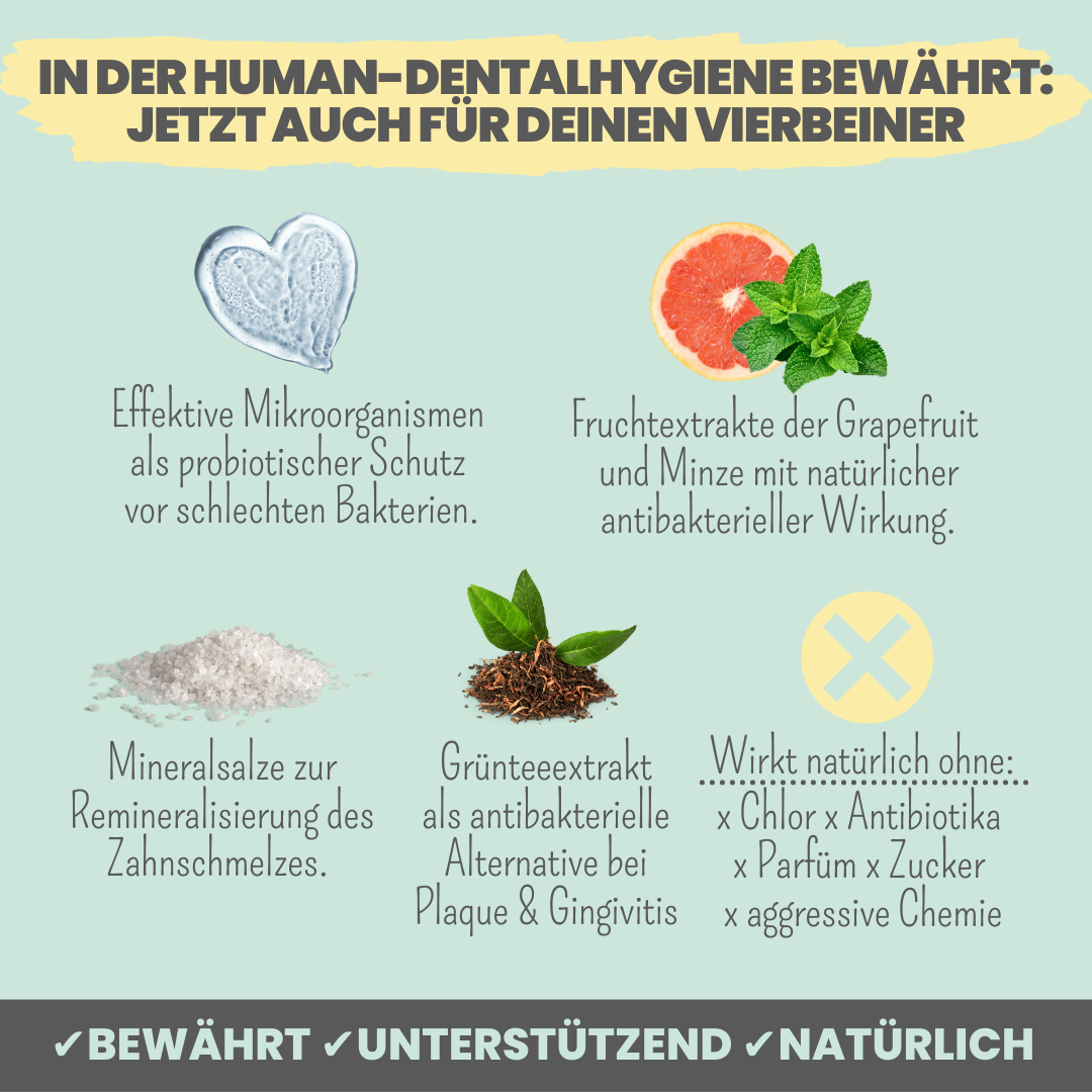 Dental-Spray bei Zahnstein für Hunde und Katzen