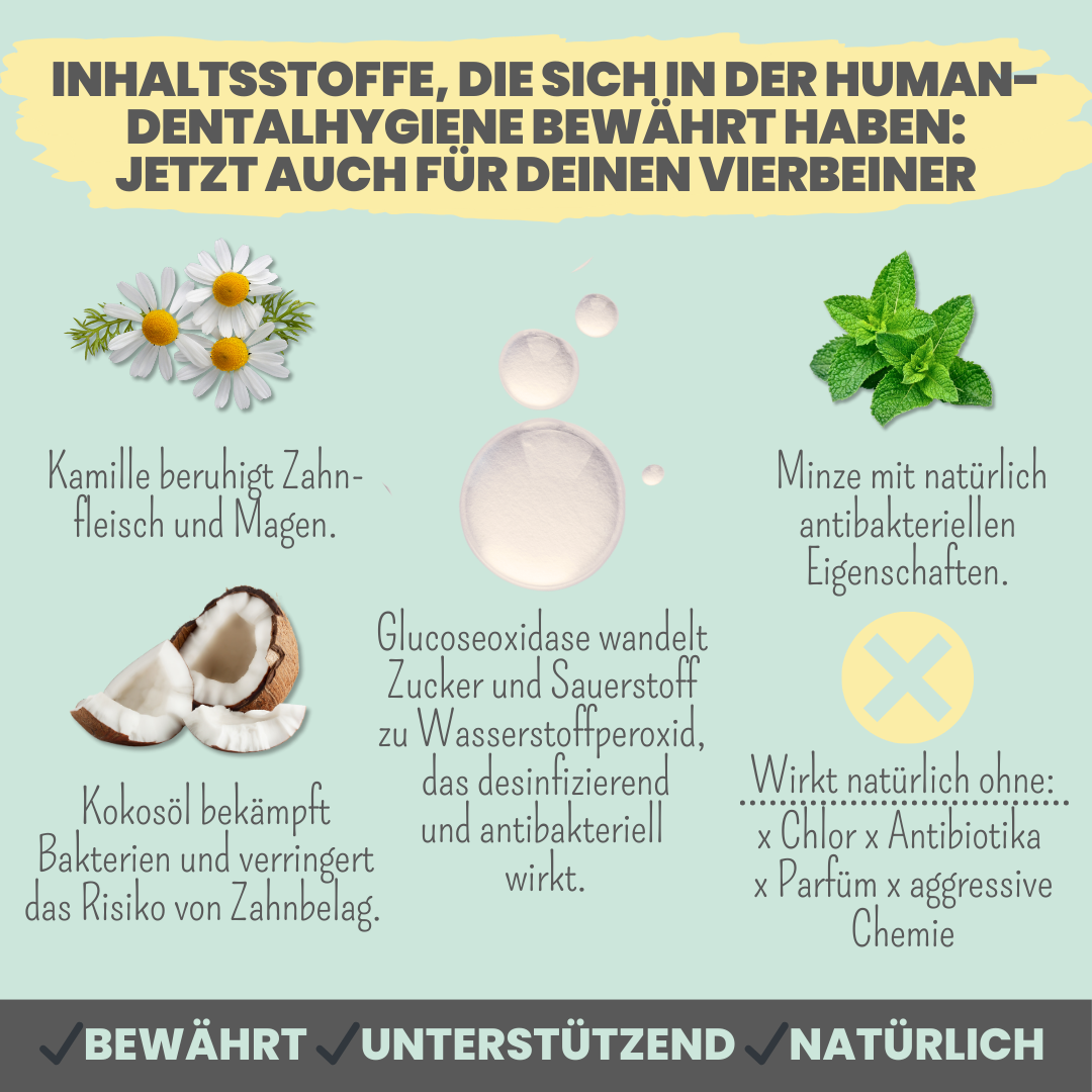 Enzymodent: Enzymatische Zahnpasta für Hunde mit natürlicher Pflege- und Präventionsformel