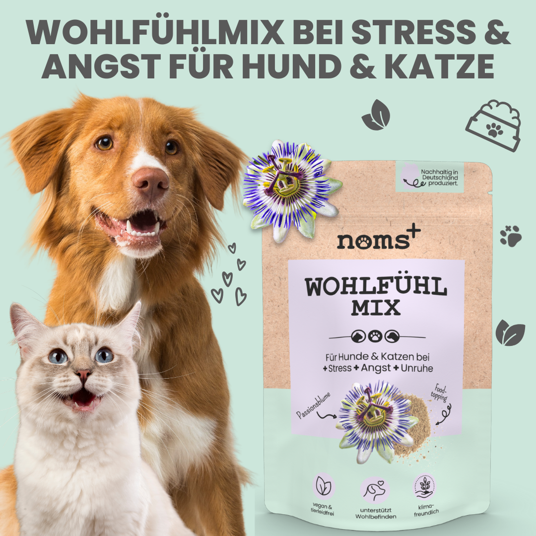 Wohlfühlmix für Hunde bei Stress, Angst & Unruhe