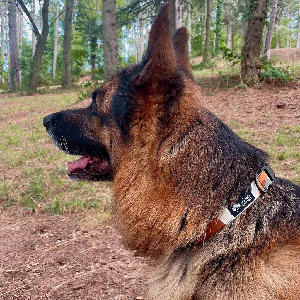 Stoffhalsband für Hund „Nature”