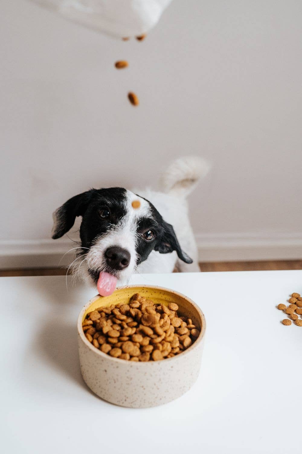 SIMPLY CRUNCH Trockenfutter