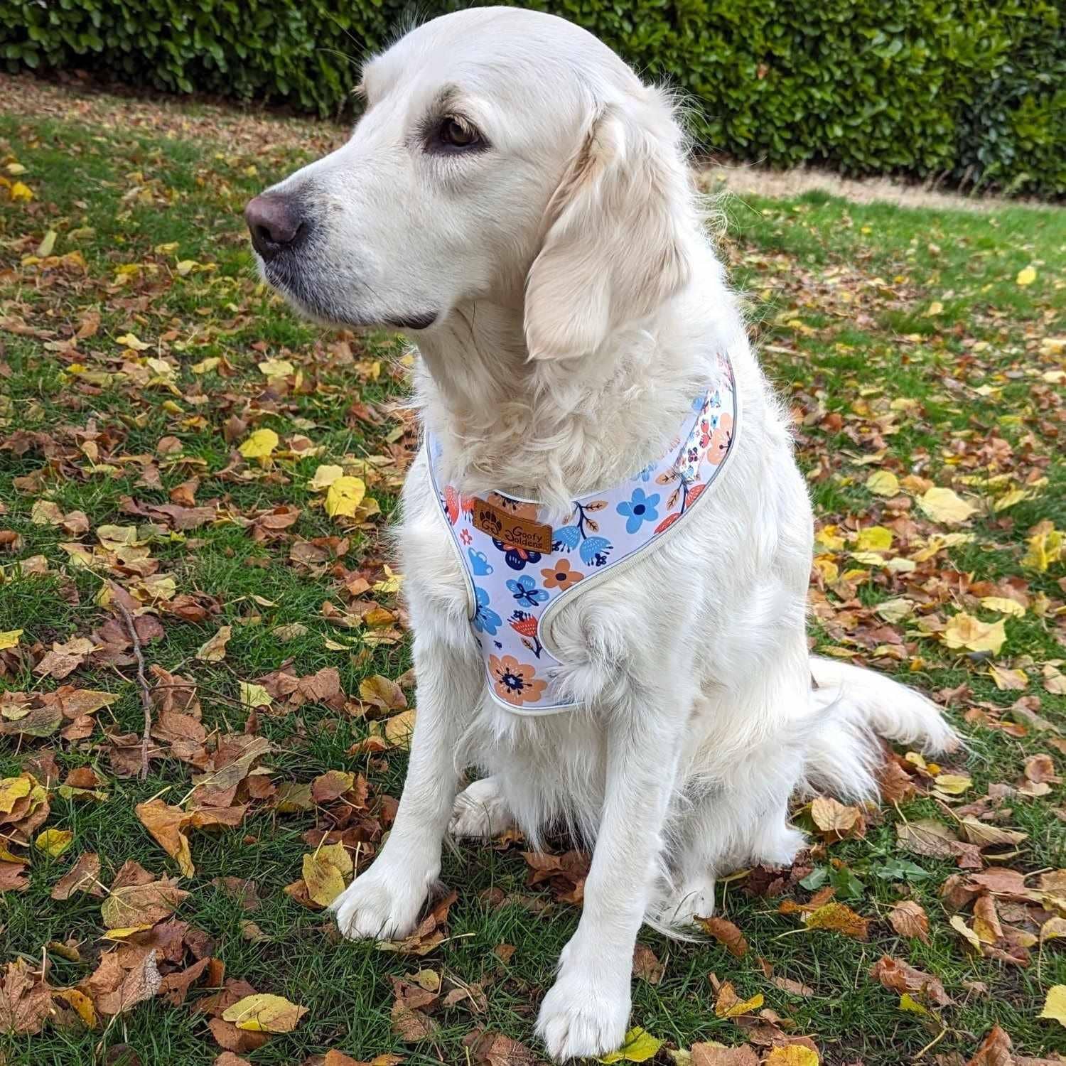Frühlings-Hundegeschirr