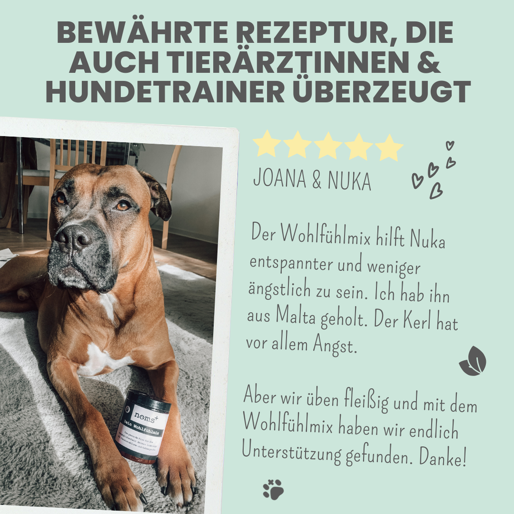 Wohlfühlmix für Hunde bei Stress, Angst & Unruhe