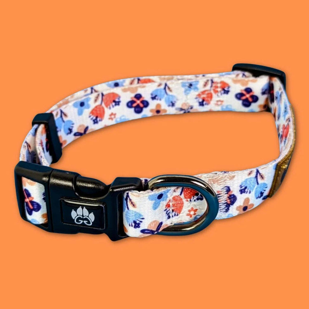 Frühlings-Hundehalsband