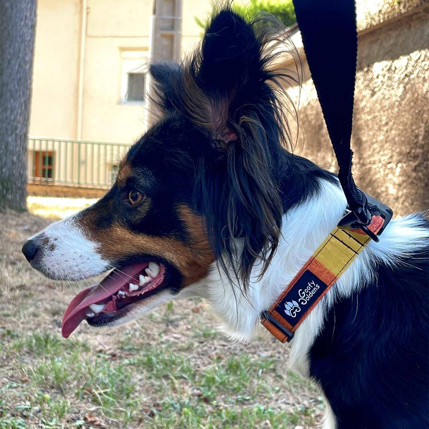 Stoffhalsband für Hunde „Summer“