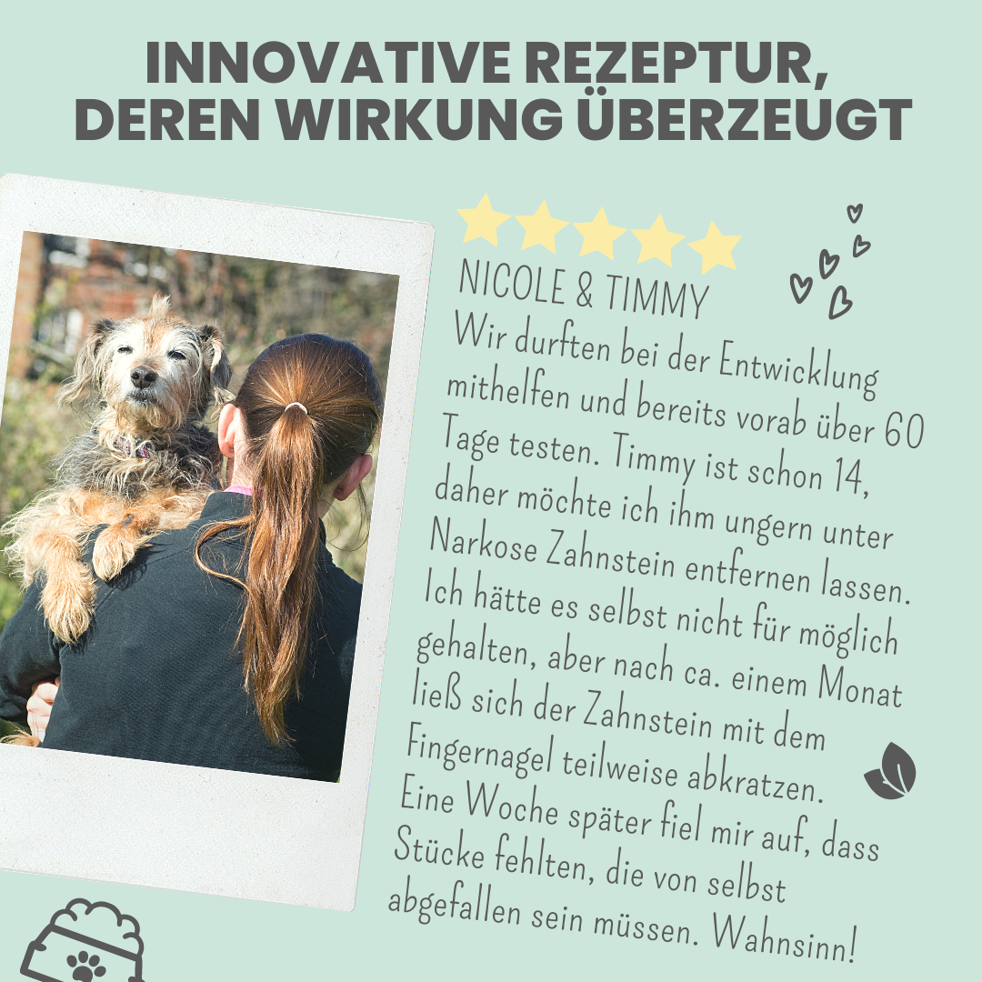 Dental-Spray bei Zahnstein für Hunde und Katzen