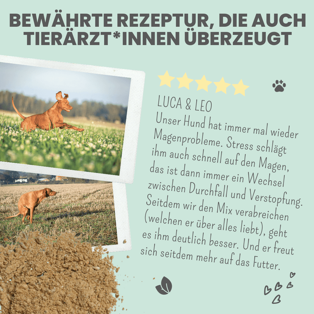 Verdauungsmix für Hunde als Präbiotikum für Magen- & Darmflo