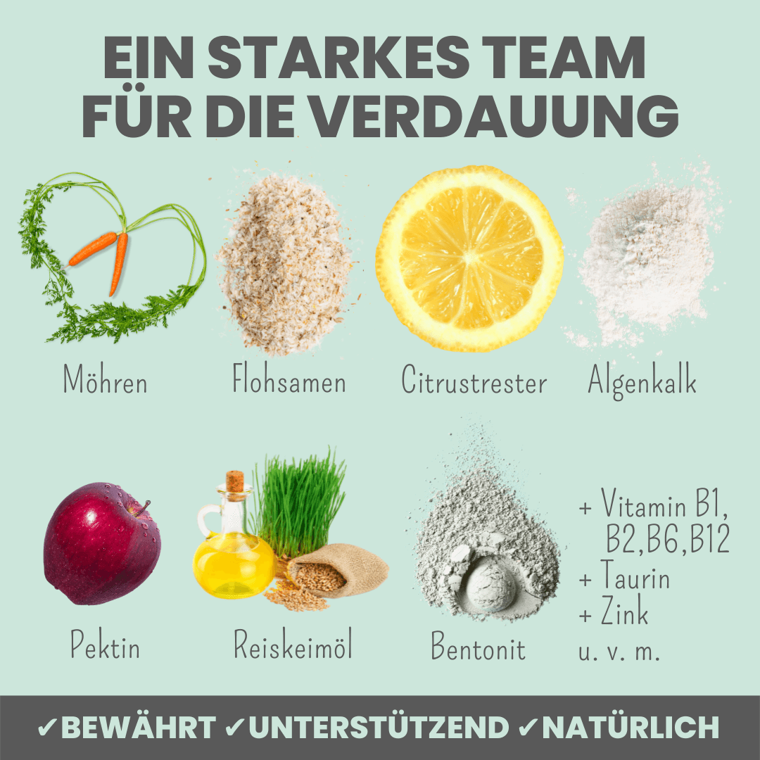 Verdauungsmix für Hunde als Präbiotikum für Magen- & Darmflo