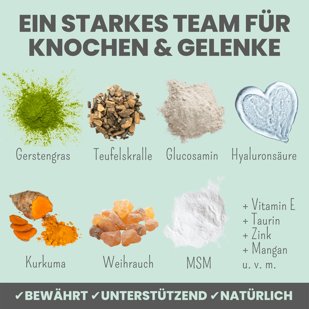Gelenkmix für Hunde mit Teufelskralle, Kurkuma & Glucosamin