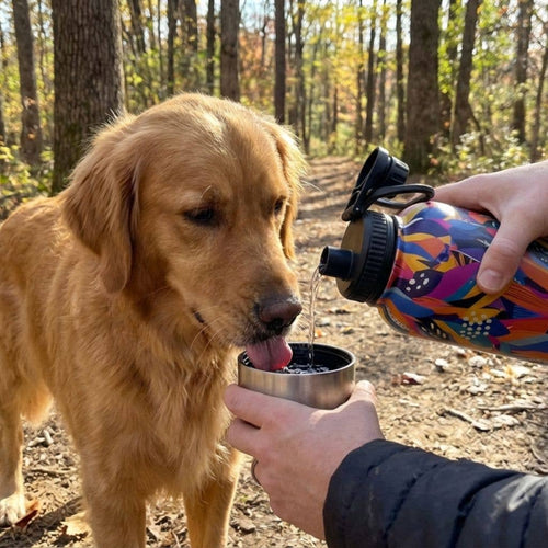 3-in-1-Trinkflasche für Hunde Panache