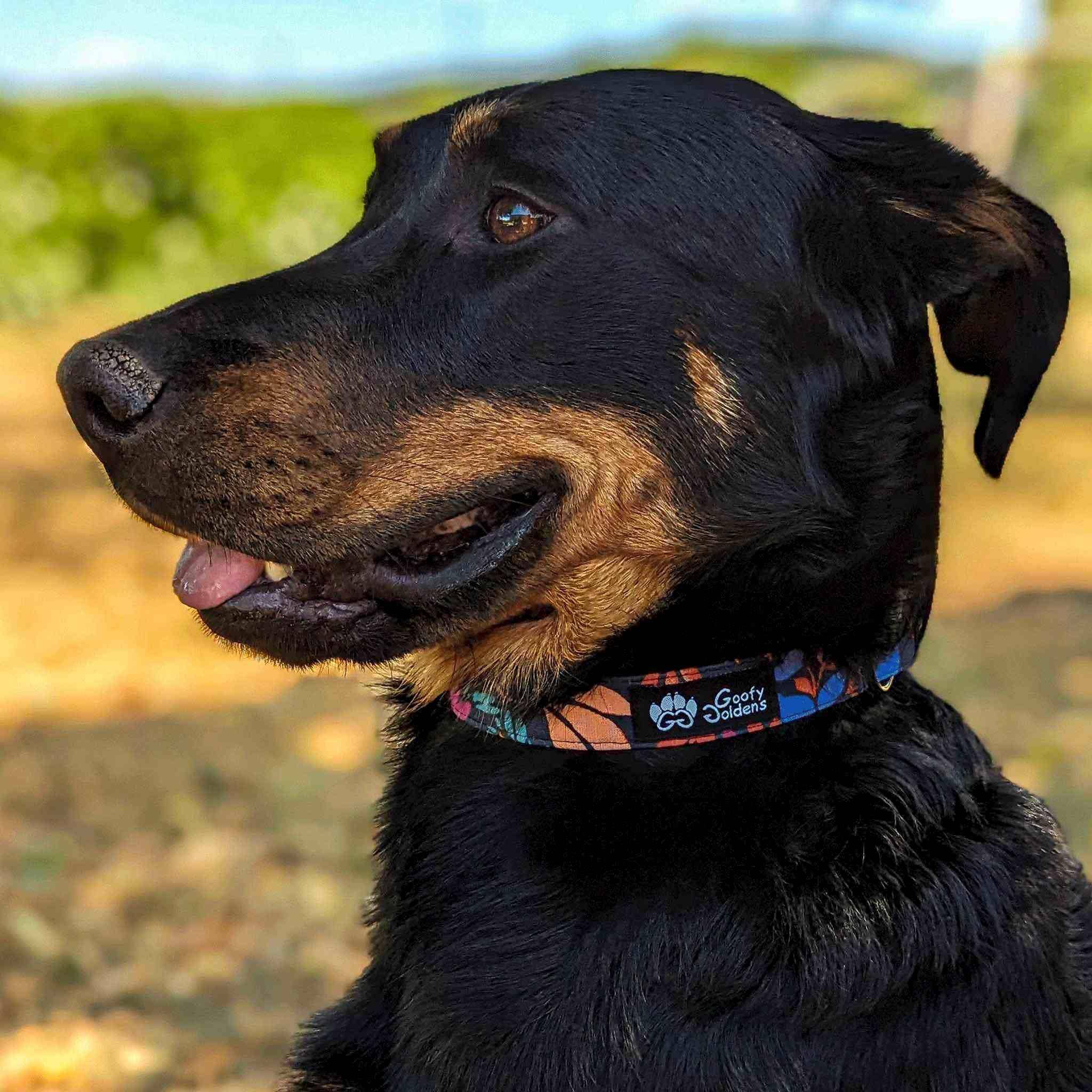 Stoffhalsband für Hunde – bezaubernd
